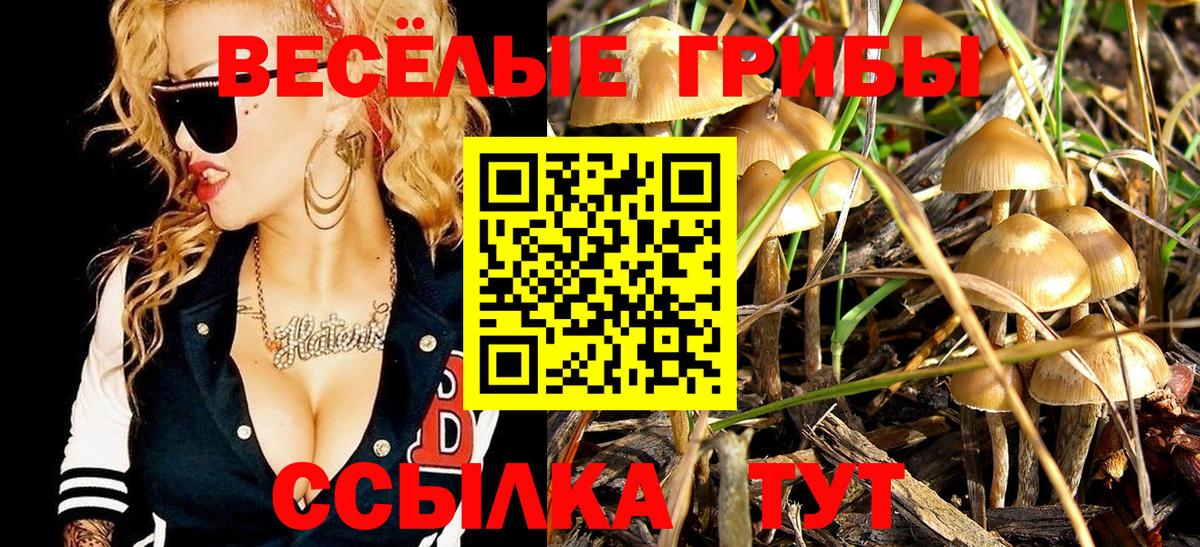 Галлюциногенные грибы MAGIC MUSHROOMS  Вход с VPN  Калач-на-Дону 
